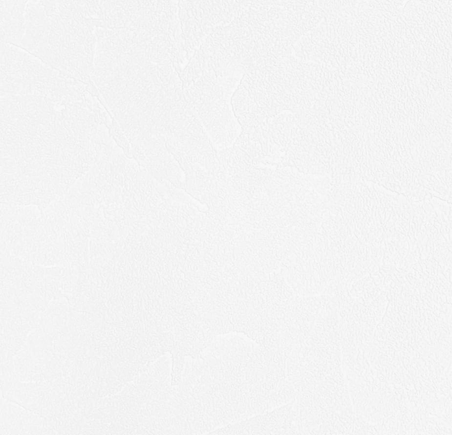 Andrea Rossi Spectrum Plus 54351-1 10.05м x 106см поверхность матовая