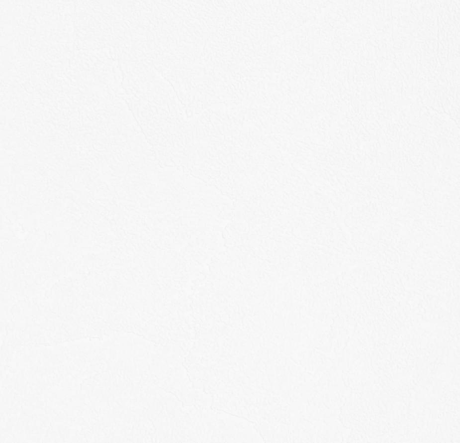 Andrea Rossi Spectrum Plus 54351-2 10.05м x 106см поверхность матовая