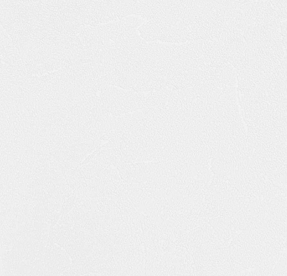 Andrea Rossi Spectrum Plus 54351-3 10.05м x 106см поверхность матовая