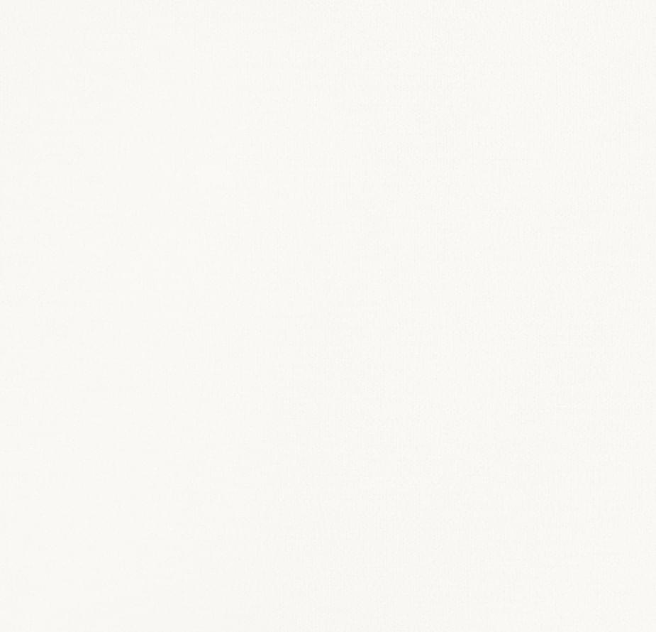 Andrea Rossi Spectrum Plus 54353-11 10.05м x 106см поверхность матовая