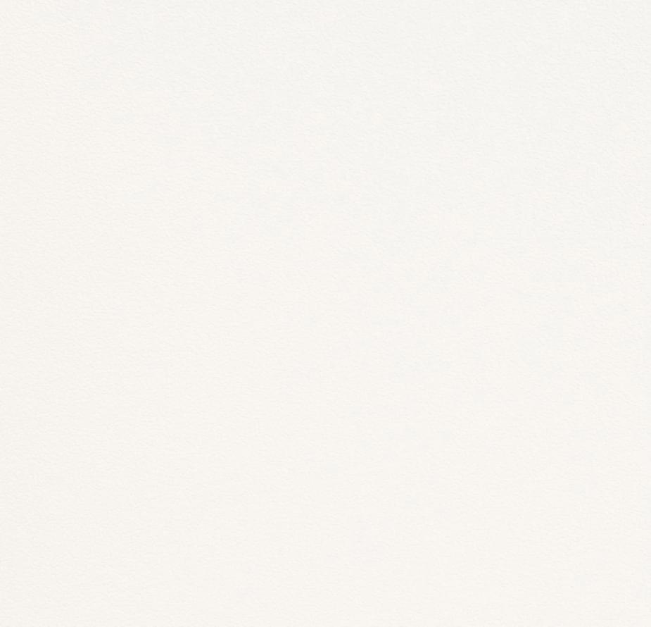 Andrea Rossi Spectrum Plus 54355-1 10.05м x 106см поверхность матовая