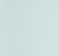 Andrea Rossi Spectrum Plus 54355-25 10.05м x 106см поверхность матовая