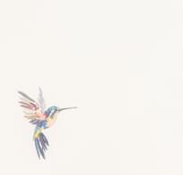 Andrea Rossi Spectrum Plus 54356-1 10.05м x 106см поверхность матовая