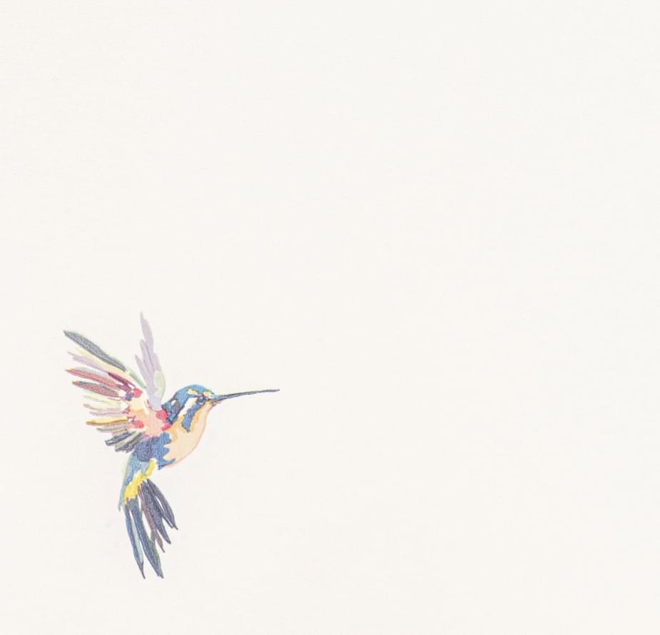 Andrea Rossi Spectrum Plus 54356-1 10.05м x 106см поверхность матовая