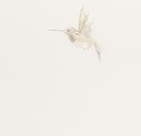 Andrea Rossi Spectrum Plus 54356-2 10.05м x 106см поверхность матовая