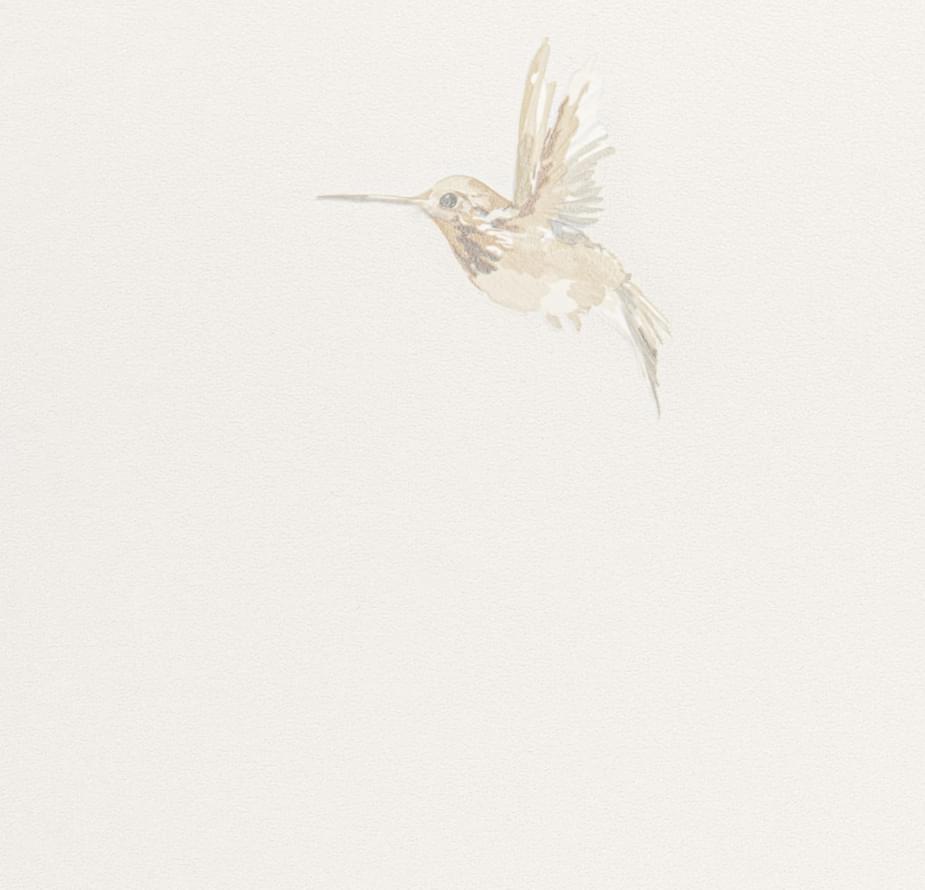 Andrea Rossi Spectrum Plus 54356-2 10.05м x 106см поверхность матовая