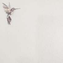 Andrea Rossi Spectrum Plus 54356-3 10.05м x 106см поверхность матовая