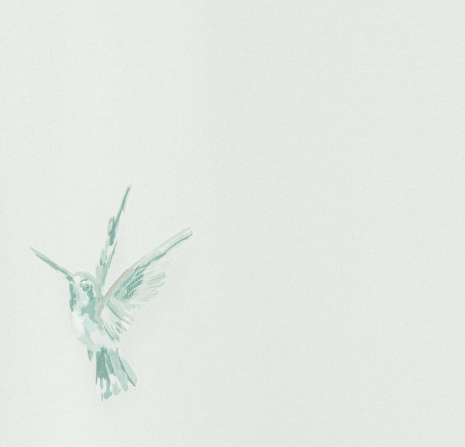 Andrea Rossi Spectrum Plus 54356-4 10.05м x 106см поверхность матовая