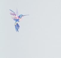 Andrea Rossi Spectrum Plus 54356-5 10.05м x 106см поверхность матовая