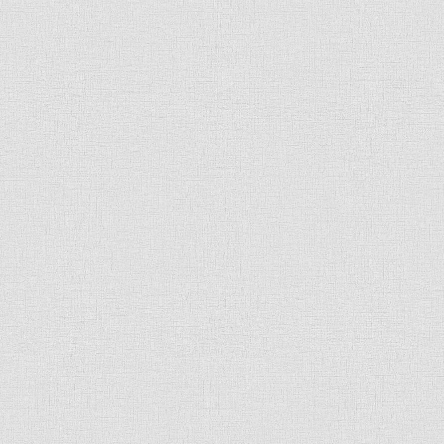 Andrea Rossi Spectrum Pro 54379-5 10.05м x 106см поверхность матовая