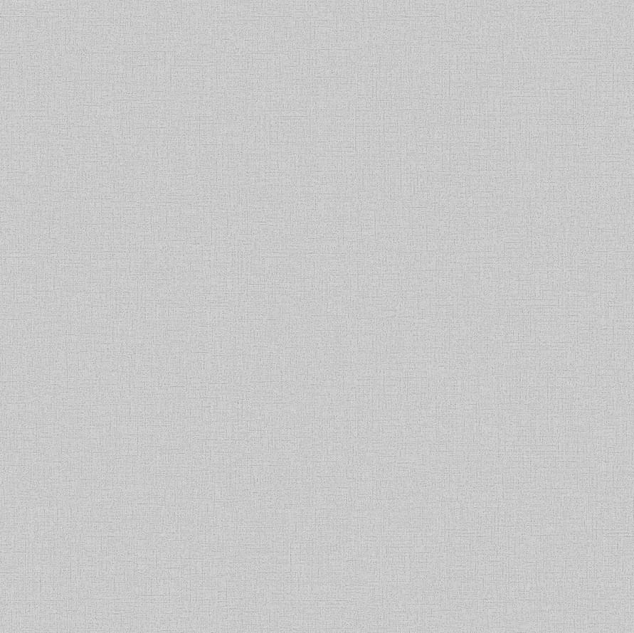 Andrea Rossi Spectrum Pro 54379-6 10.05м x 106см поверхность матовая