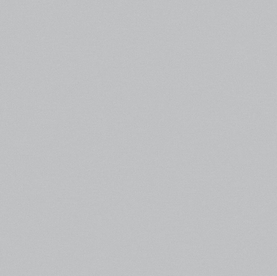 Andrea Rossi Spectrum Pro 54381-11 10.05м x 106см поверхность матовая