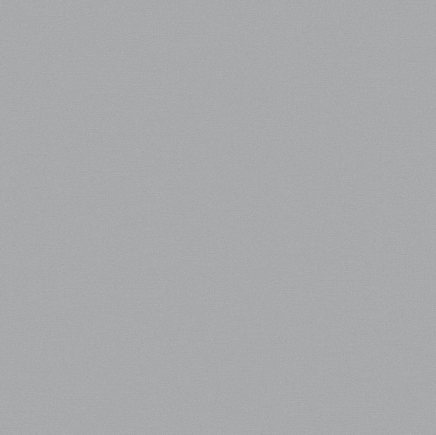 Andrea Rossi Spectrum Pro 54381-12 10.05м x 106см поверхность матовая