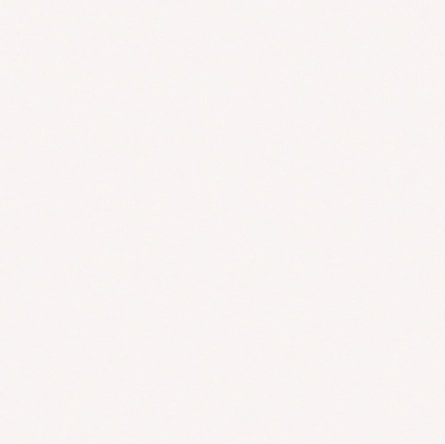 Andrea Rossi Spectrum Pro 54381-3 10.05м x 106см поверхность матовая