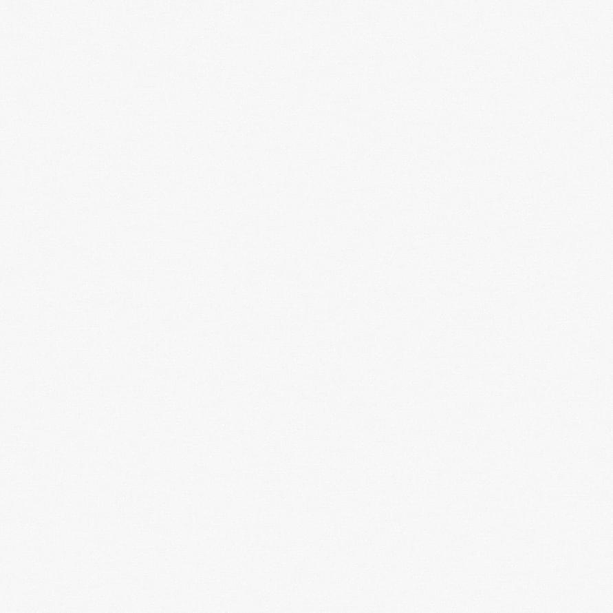 Andrea Rossi Spectrum Pro 54381-6 10.05м x 106см поверхность матовая