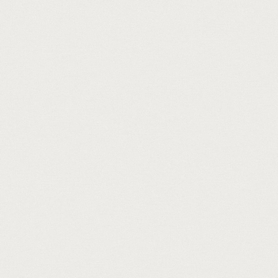 Andrea Rossi Spectrum Pro 54381-7 10.05м x 106см поверхность матовая