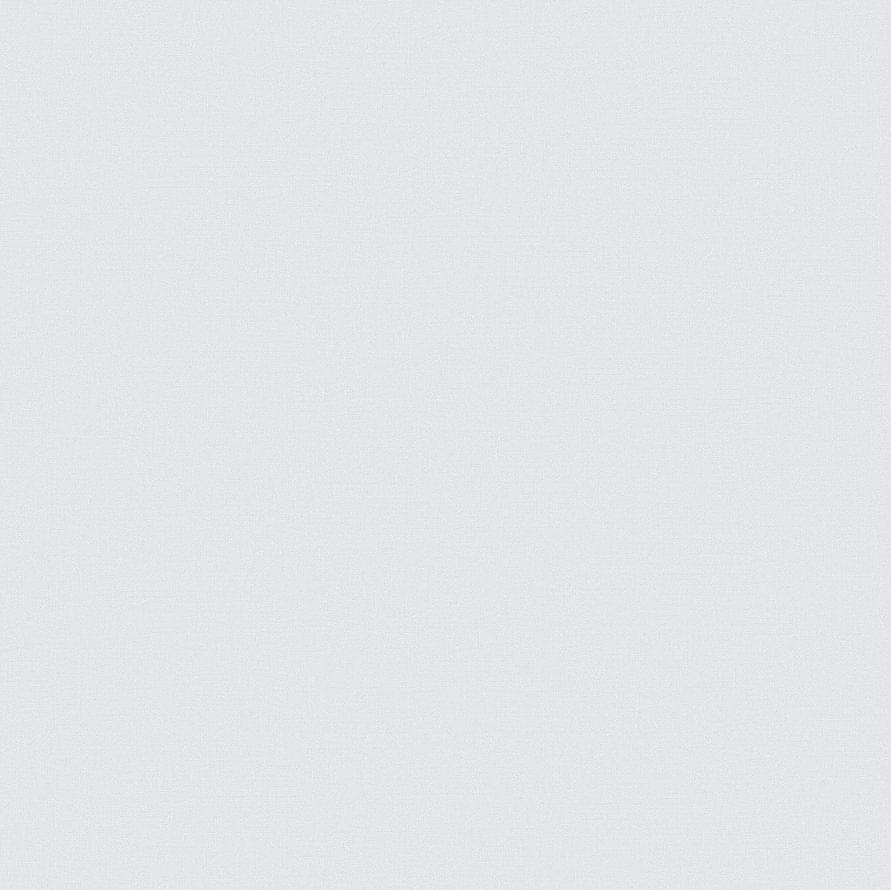 Andrea Rossi Spectrum Pro 54381-8 10.05м x 106см поверхность матовая