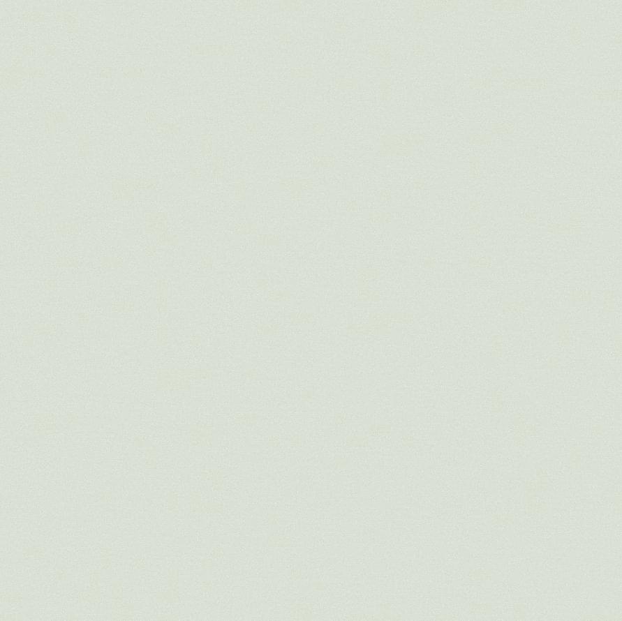 Andrea Rossi Spectrum Pro 54383-14 10.05м x 106см поверхность матовая