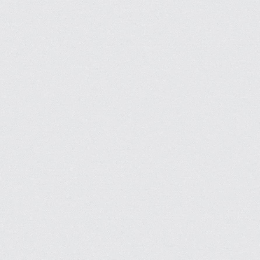 Andrea Rossi Spectrum Pro 54383-3 10.05м x 106см поверхность матовая