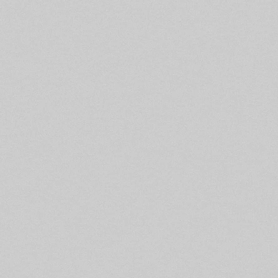 Andrea Rossi Spectrum Pro 54383-4 10.05м x 106см поверхность матовая