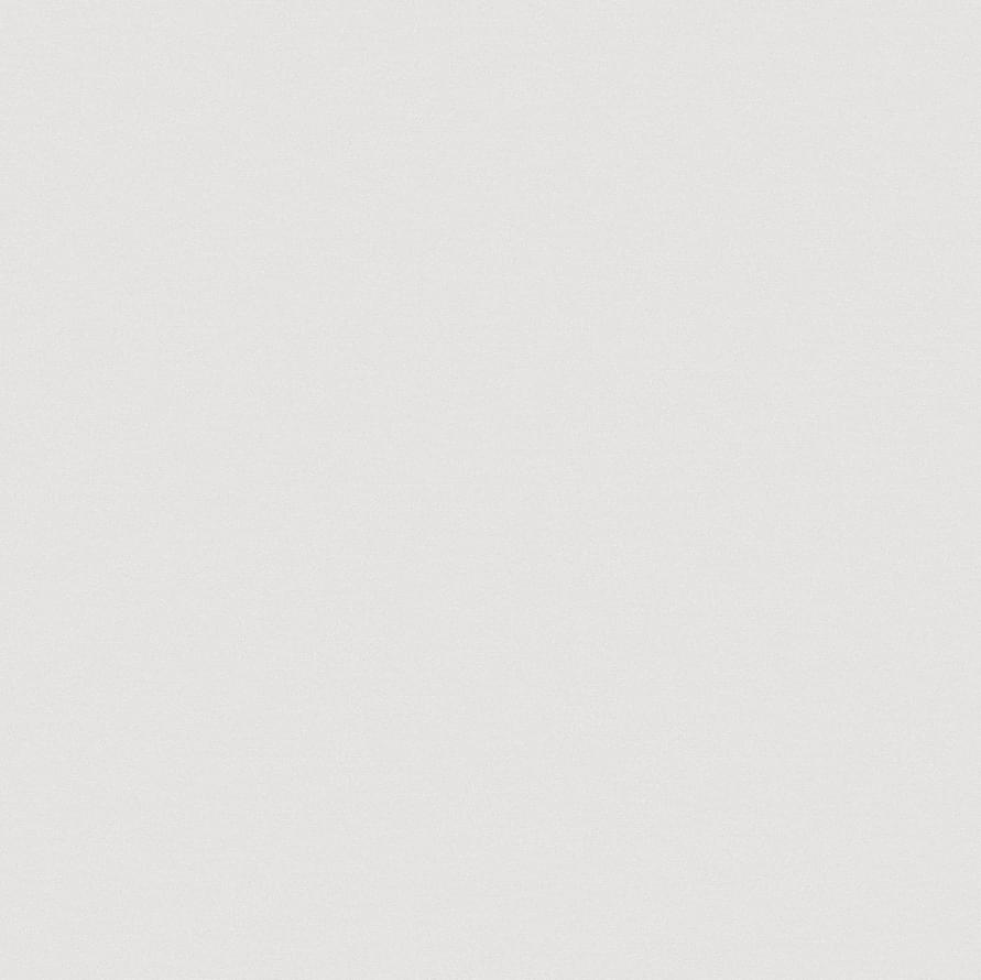 Andrea Rossi Spectrum Pro 54383-5 10.05м x 106см поверхность матовая