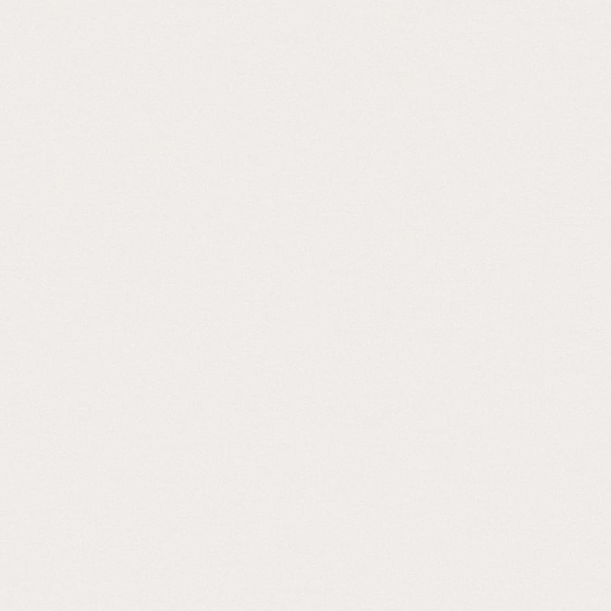 Andrea Rossi Spectrum Pro 54383-8 10.05м x 106см поверхность матовая