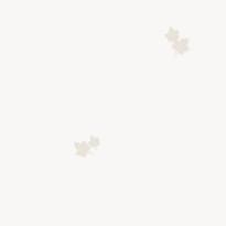 Andrea Rossi Spectrum Pro 54384-1 10.05м x 106см поверхность матовая