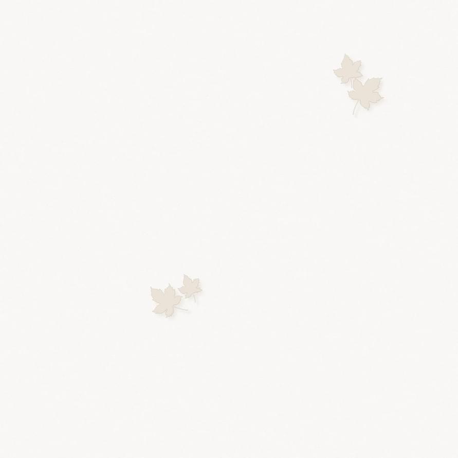 Andrea Rossi Spectrum Pro 54384-1 10.05м x 106см поверхность матовая