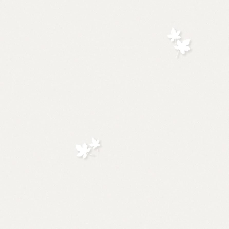 Andrea Rossi Spectrum Pro 54384-2 10.05м x 106см поверхность матовая