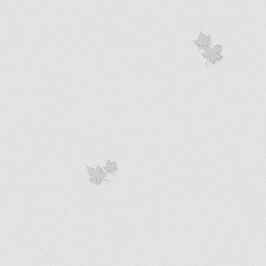 Andrea Rossi Spectrum Pro 54384-4 10.05м x 106см поверхность матовая