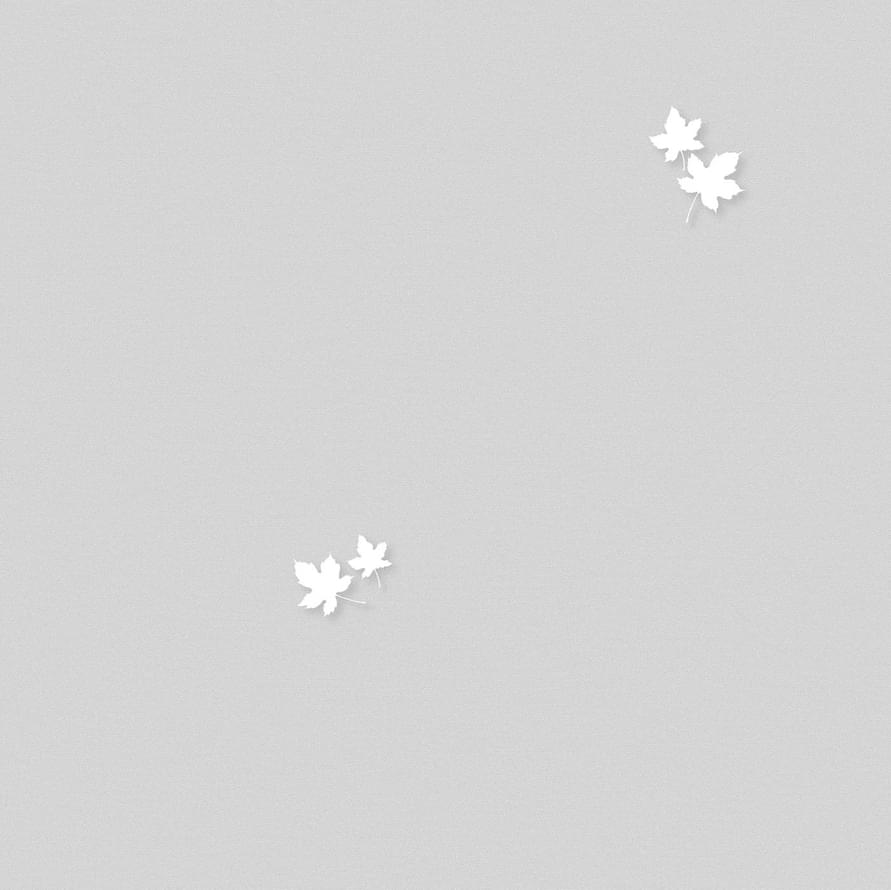 Andrea Rossi Spectrum Pro 54384-5 10.05м x 106см поверхность матовая