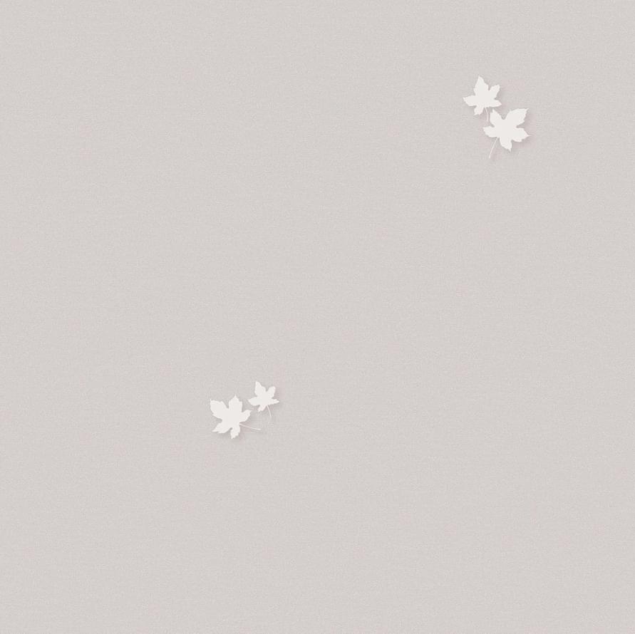 Andrea Rossi Spectrum Pro 54384-6 10.05м x 106см поверхность матовая