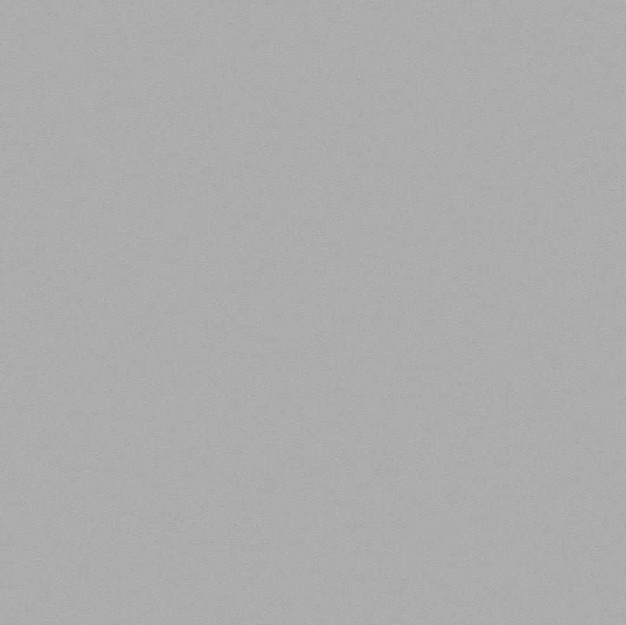 Andrea Rossi Spectrum Pro 54385-10 10.05м x 106см поверхность матовая