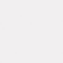 Andrea Rossi Spectrum Pro 54385-11 10.05м x 106см поверхность матовая