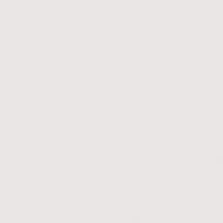 Andrea Rossi Spectrum Pro 54385-12 10.05м x 106см поверхность матовая