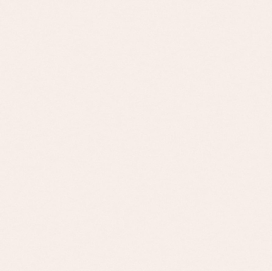 Andrea Rossi Spectrum Pro 54385-3 10.05м x 106см поверхность матовая