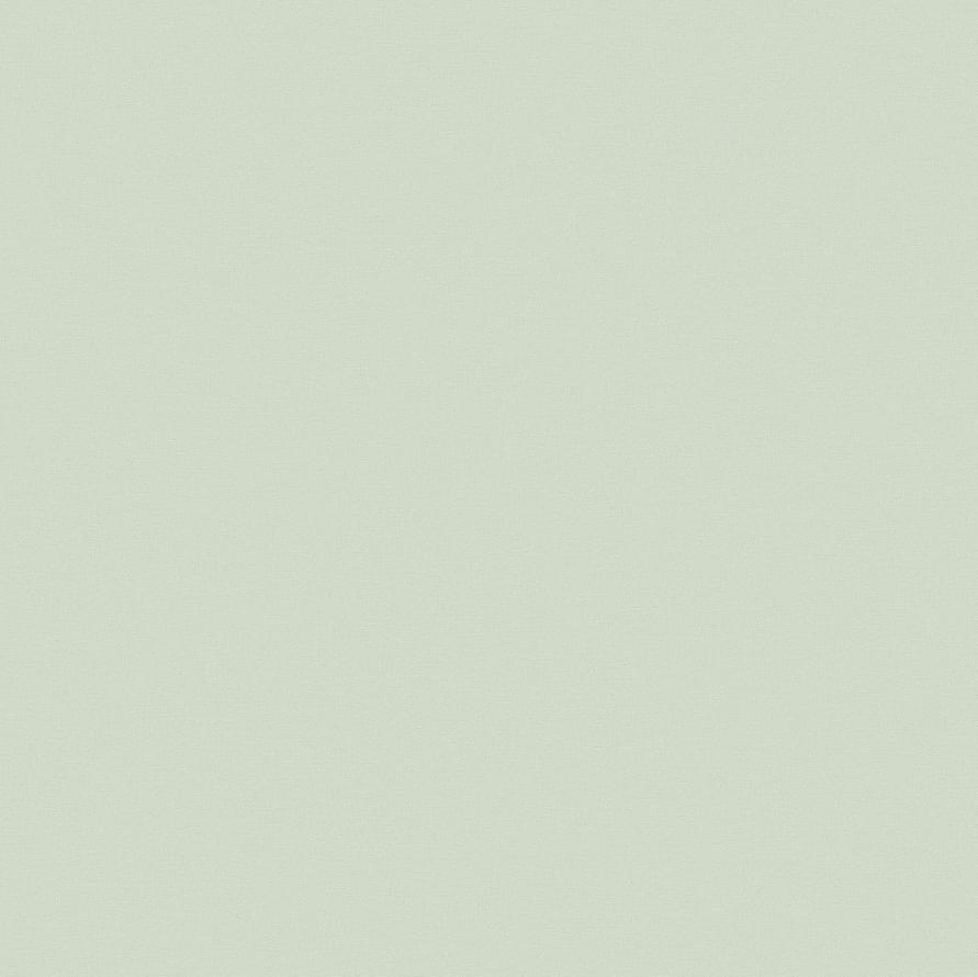 Andrea Rossi Spectrum Pro 54385-6 10.05м x 106см поверхность матовая