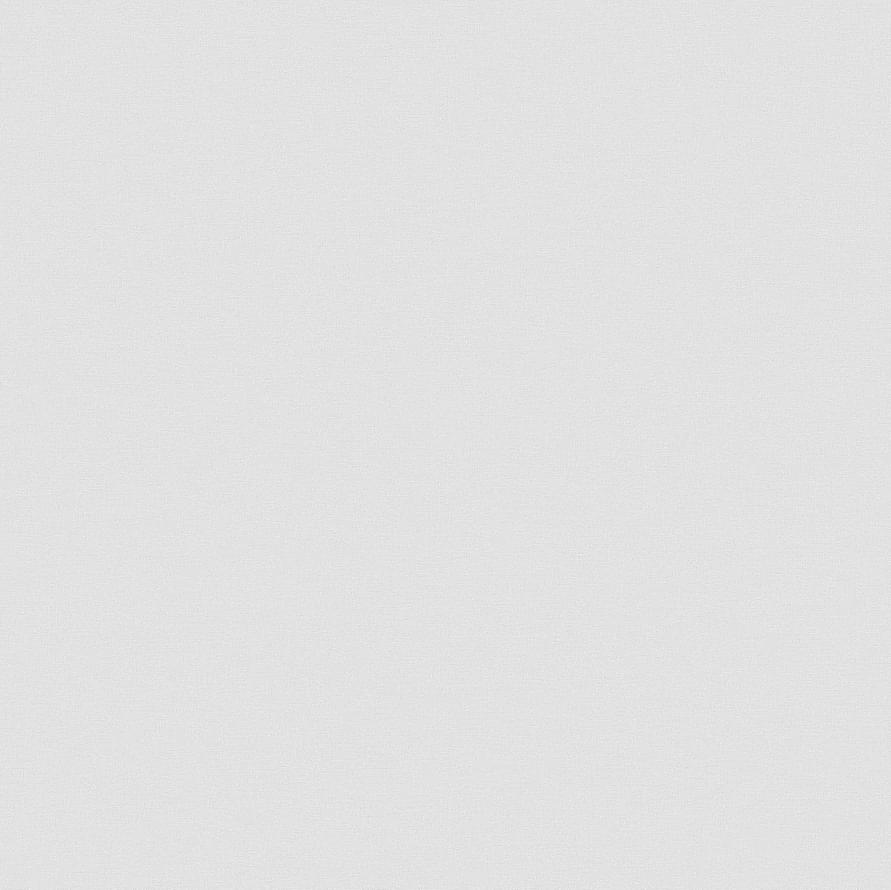 Andrea Rossi Spectrum Pro 54385-8 10.05м x 106см поверхность матовая