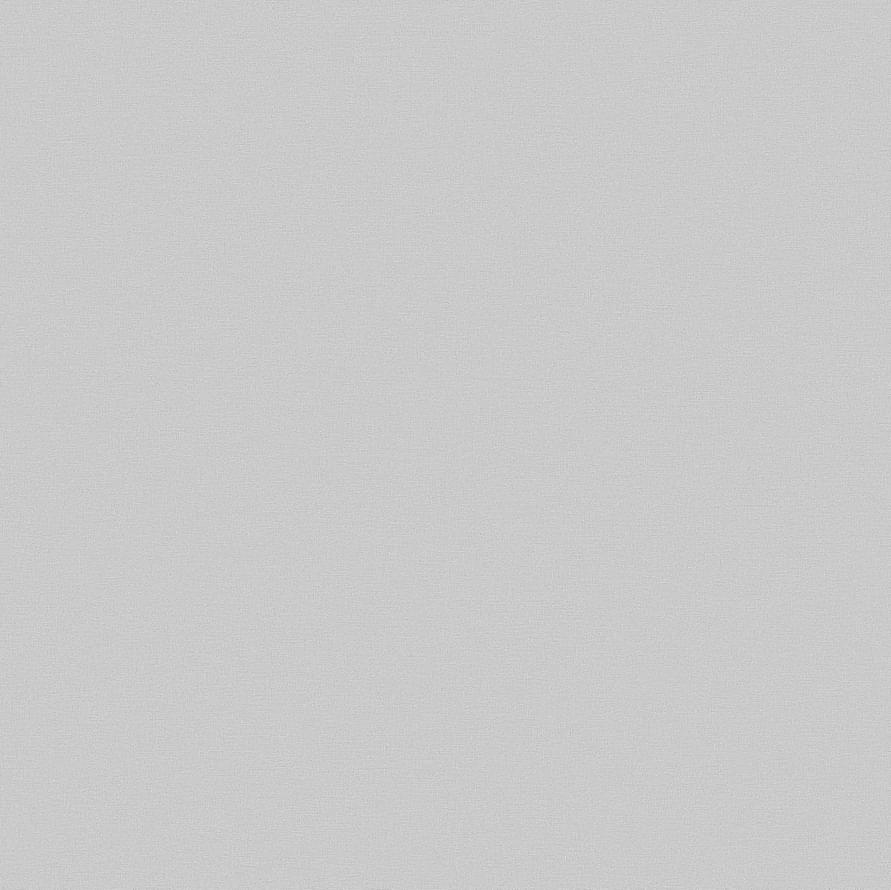 Andrea Rossi Spectrum Pro 54385-9 10.05м x 106см поверхность матовая