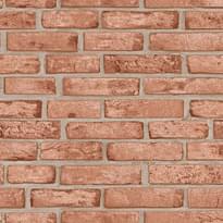 Andrea Rossi Spectrum Trend 54428-10 10.05м x 106см поверхность матовая