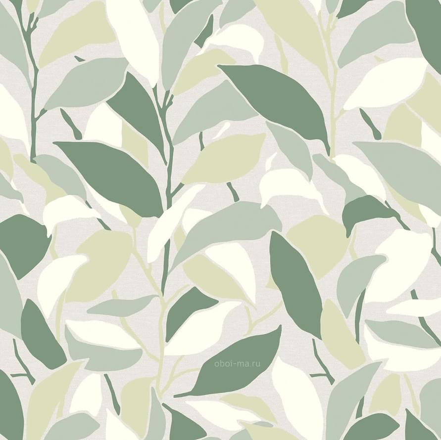 Andrea Rossi Spectrum Trend 54430-4 10.05м x 106см поверхность матовая