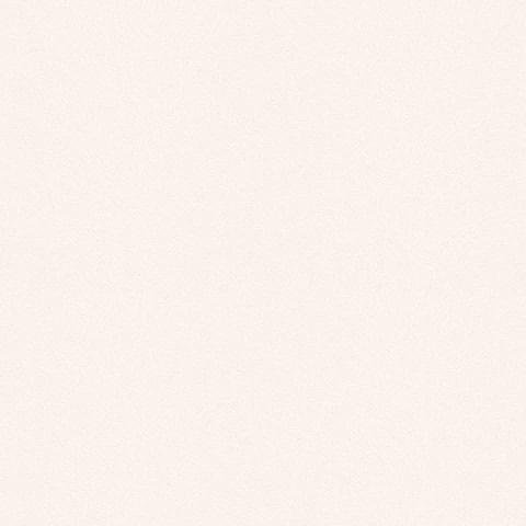 Andrea Rossi Spectrum 54333-13 10.05м x 106см поверхность матовая