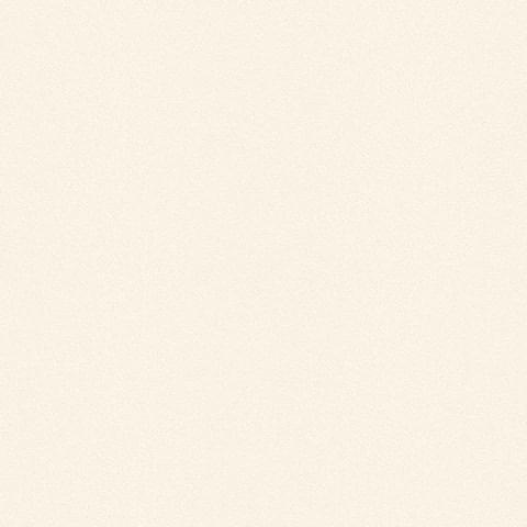 Andrea Rossi Spectrum 54333-14 10.05м x 106см поверхность матовая