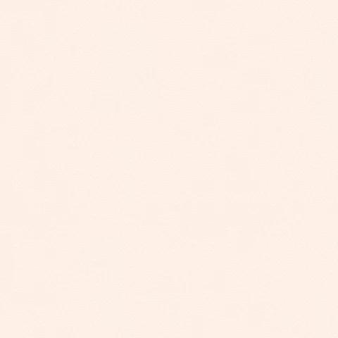 Andrea Rossi Spectrum 54333-15 10.05м x 106см поверхность матовая