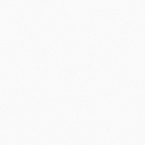 Andrea Rossi Spectrum 54337-1 10.05м x 106см поверхность матовая