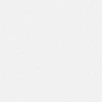 Andrea Rossi Spectrum 54337-2 10.05м x 106см поверхность матовая