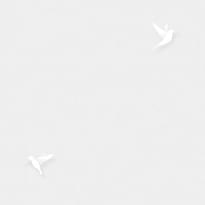 Andrea Rossi Spectrum 54338-1 10.05м x 106см поверхность матовая