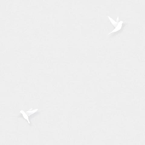 Andrea Rossi Spectrum 54338-1 10.05м x 106см поверхность матовая