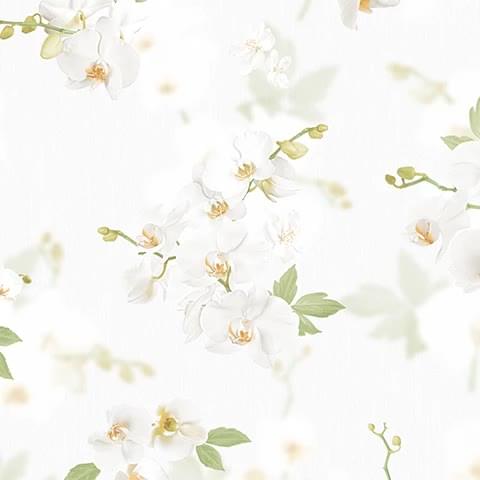 Andrea Rossi Stromboli 54342-1 10.05м x 106см поверхность матовая