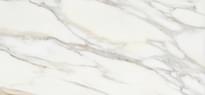 Плитка Apavisa Borghini White Pulido 59.55x119.3 см, поверхность полированная